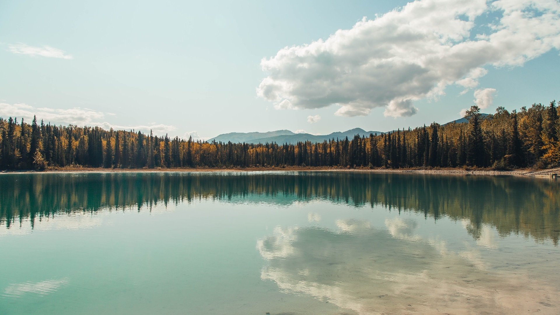 《炉石传说》大师巡回赛与《影之诗》RAGE赛事的卡牌电竞对决,炉石传说大师赛奖金