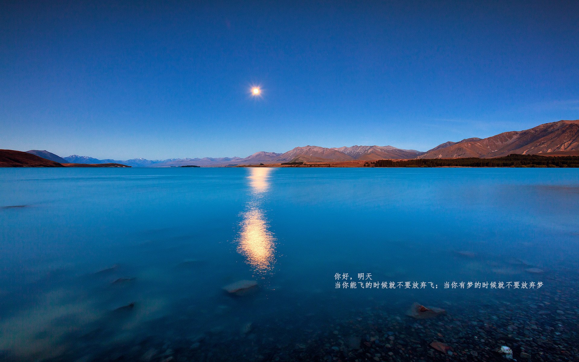 从零到英雄：年轻球员成长的精彩故事，球员的经历